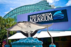 The Florida Aquarium