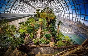 Myriad Botanical Gardens