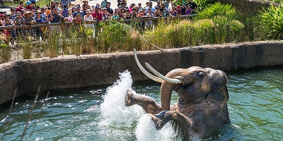 Los Angeles Zoo