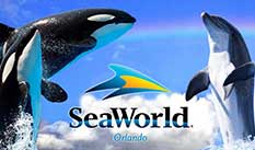 Seaworld