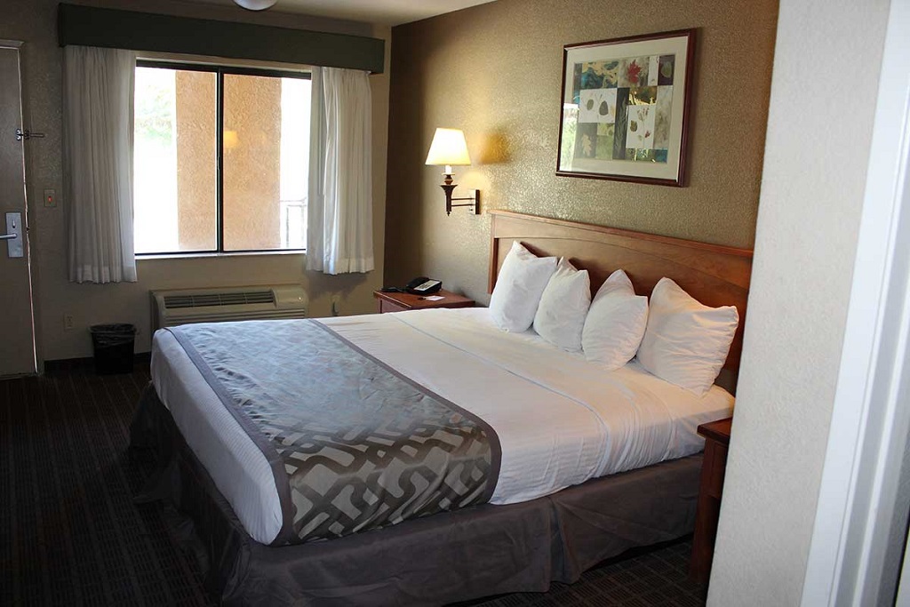 Cajon Pass Inn - Single Bed Room-1