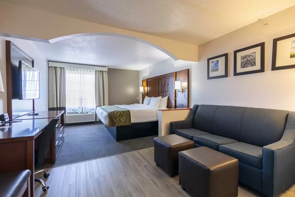 Comfort Suites Springfield - Single Bed-1
